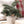Alpine Sprig Tabletop Tree S