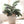 Alpine Sprig Tabletop Tree S