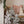 Frosted Pine Decor Tree L
