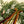 Snowberry Real Touch Wreath
