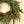 Heritage Pinecone Wreath