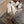 Velvet Bow Clip, Ivory