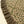 Wildvine Velvet Ruffle Tree Skirt, Olive
