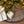 Wildvine Velvet Ruffle Tree Skirt, Heather