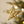 Gilded Press Holiday Ornament, Star