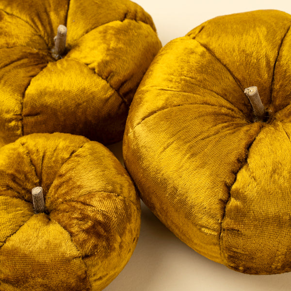 Velvet Pumpkin S