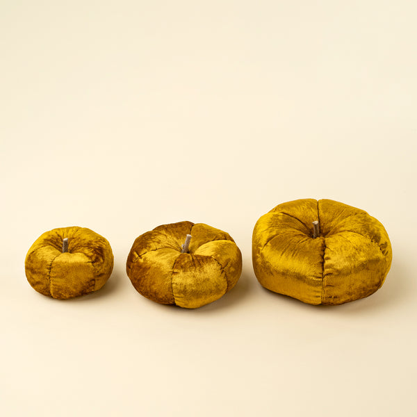 Velvet Pumpkin M