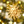 Sun Milagro Holiday Ornament