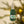 Champagne Bottle Beaded Holiday Ornament