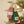 Champagne Bottle Beaded Holiday Ornament