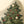 Christmas Tree Pillow