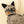 Curious Cat Felt Onament, Grey