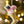 Christmas Cheers Ornament