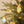 Village Paper Mache Ornaments S/3