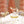 Champagne Coupe Holiday Ornament