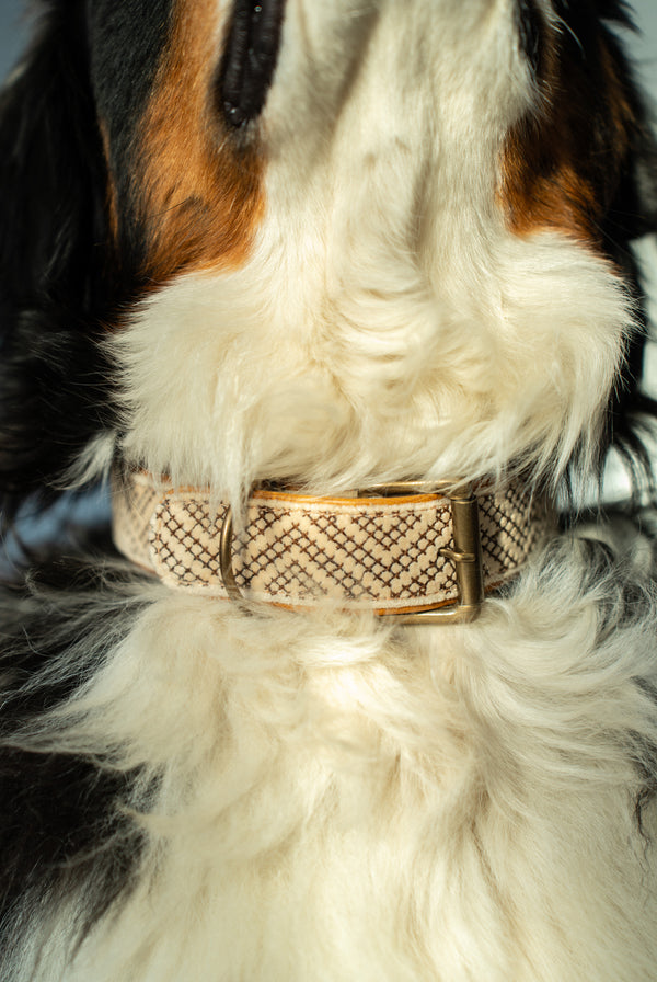 Tucker Embroidered Dog Collar L