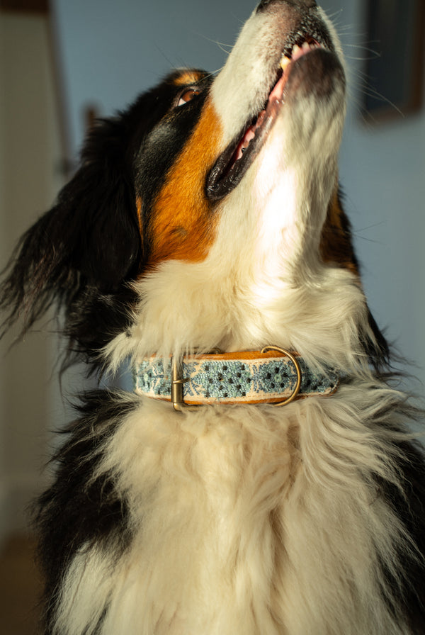 Nova Embroidered Dog Collar L