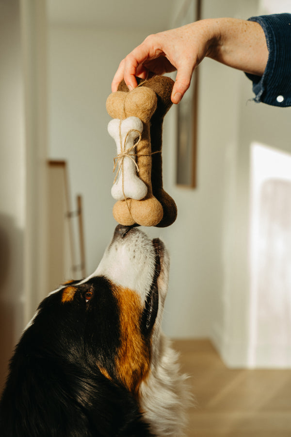 Felted Dog Bones S/3