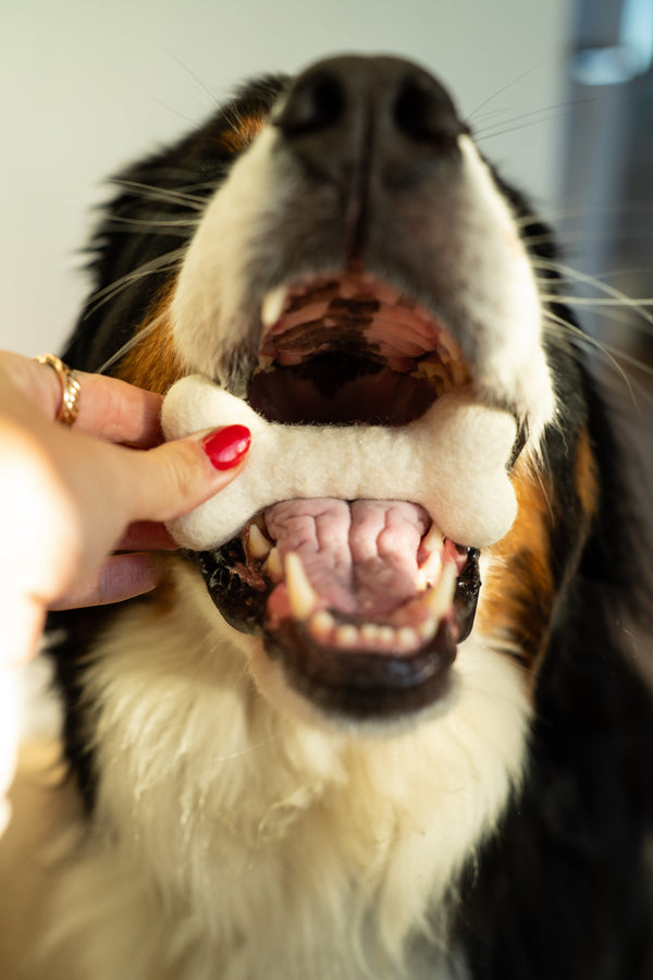 Felted Dog Bones S/3