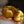 Velvet Pumpkin L