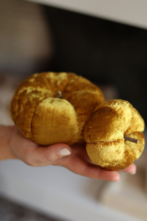 Velvet Pumpkin L