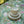 Tropical Paradise Tablecloth