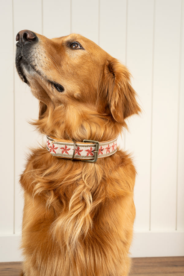 Finch Embroidered Dog Collar L